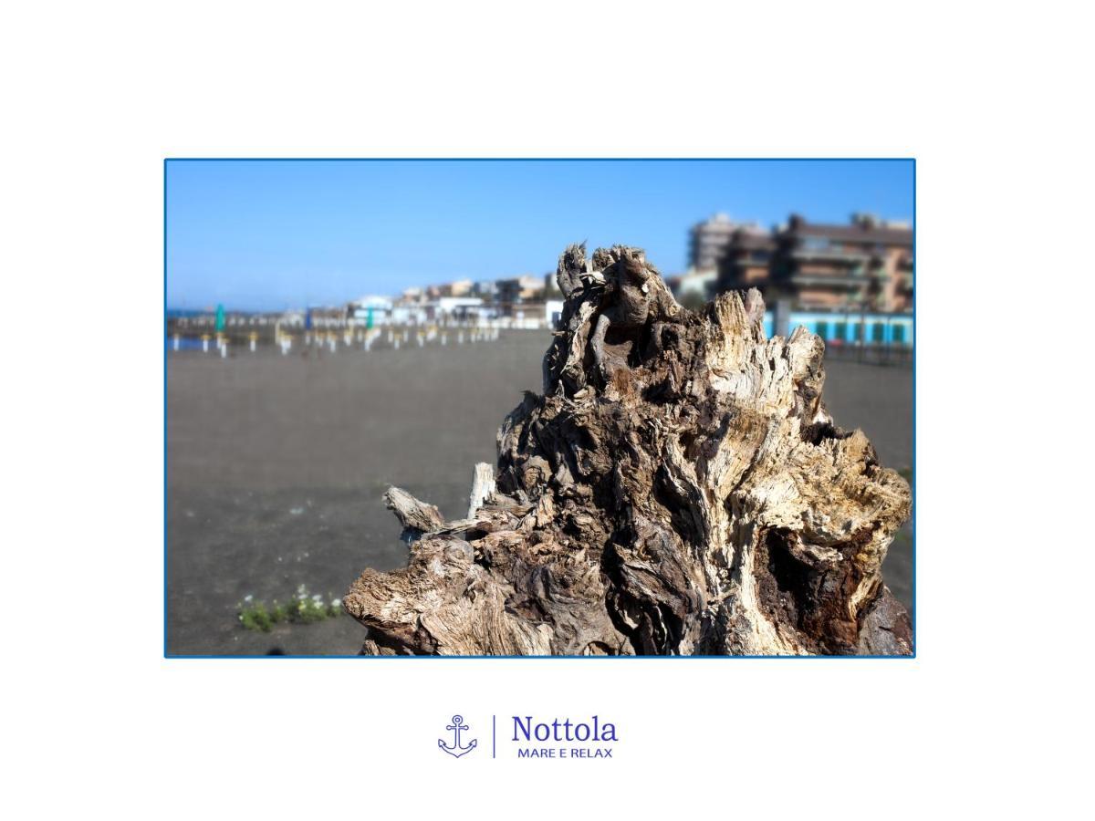 Nottola